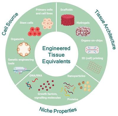  Urethane:  Versatile Biomaterial for Next-Generation Medical Devices and Tissue Engineering Applications!