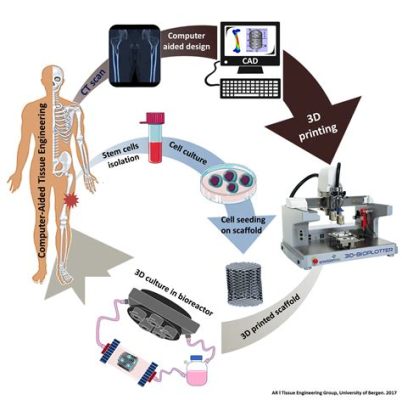 Alginate: Un materiale innovativo per la stampa 3D e l'ingegneria tissutale!