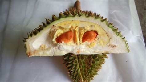 De-hulled Durian Seeds: A Novel Sustainable Source for Bioplastics and Edible Oil Production?