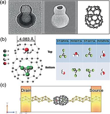  Fullereni: Nanostrutture rivoluzionarie per l'elettrochimica e il fotovoltaico!