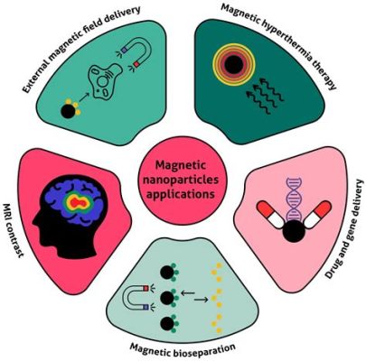  Magnetite Per Utilizzi Magnetici Avanzati: Una Rivoluzione Nella Nanotecnologia Biomedica?